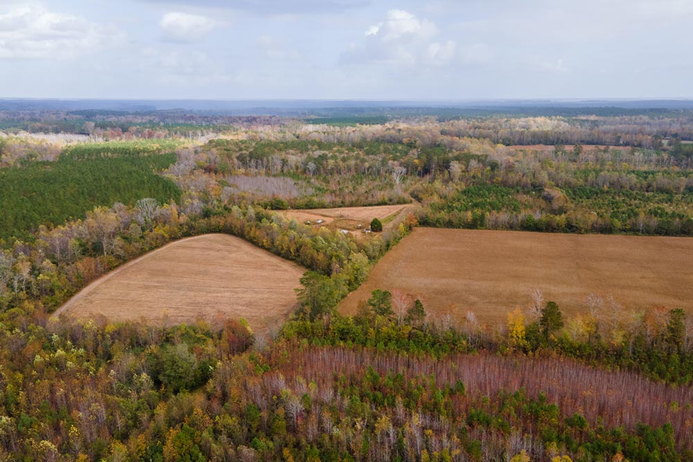 Aerial view of rural fields surrounded by forests.